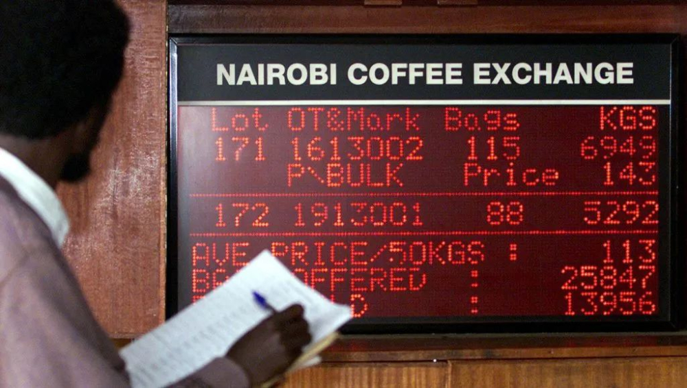 Complete Guide to Kenya K72 Washed Process: Understand Flavor, Growing Regions, Auctions, and Pour Over Parameters All at Once