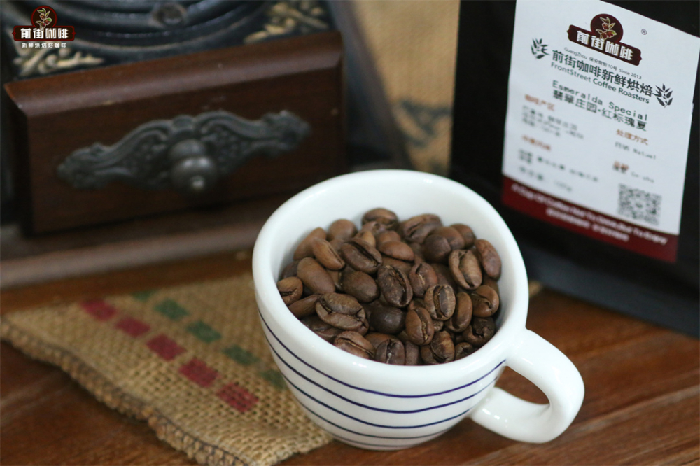 A Complete Guide to Panama Geisha from Finca El Valle: From Grading to Moka Pot Brewing — Master the Flavors and Techniques