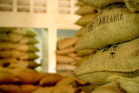 A Complete Guide to Tanzanian Coffee: Flavor Comparison Between Kilimanjaro and Southern Regions & Pour Over Recommendations