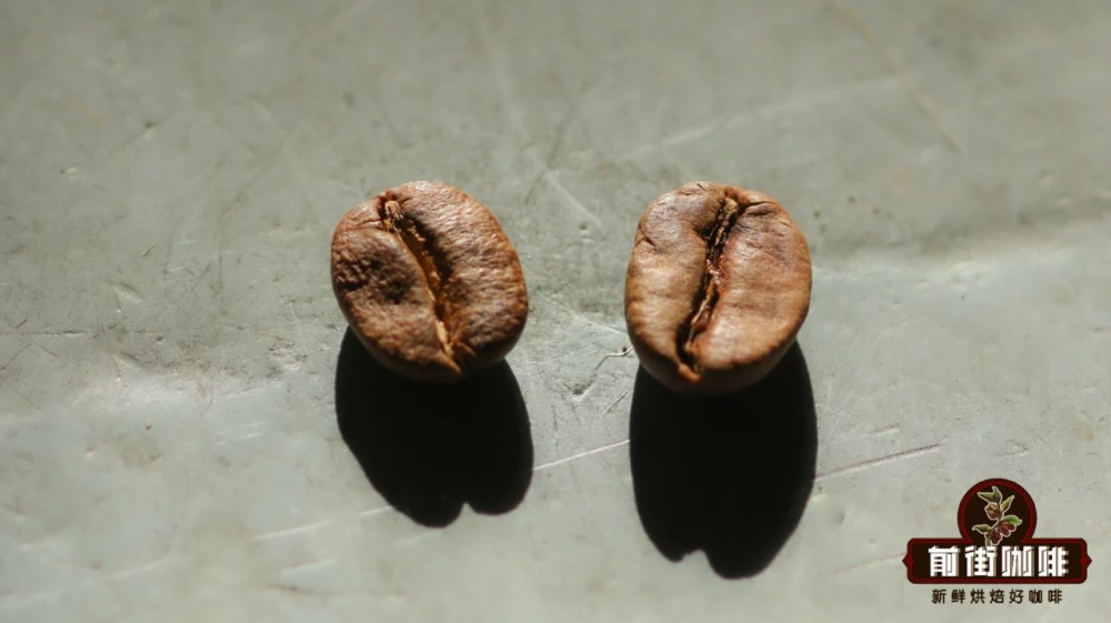 A Complete Guide to Tanzanian Coffee Regions: From Kilimanjaro to Ruvuma, Explore Flavors & Processing Methods