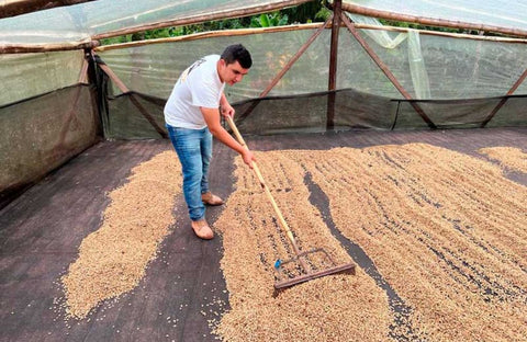How to choose specialty coffee beans from Colombia? Pour over parameters and region analysis of washed Huila beans