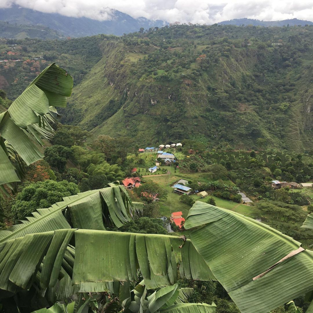 Unveiling the Grading of Colombian Coffee Beans: Is Supremo the Best Tasting? Learn the Grading Standards and Pour Over Recommendations All in One Go