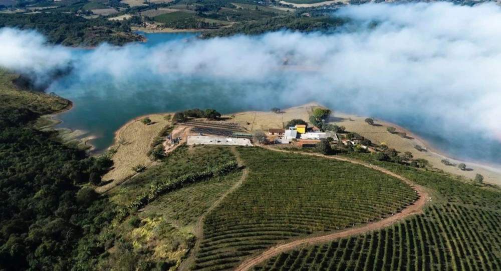 Brazilian Coffee Bean Grading and Flavor Analysis: Complete Guide to Water Temperature and Techniques for Pour Over with South Minas Bourbon