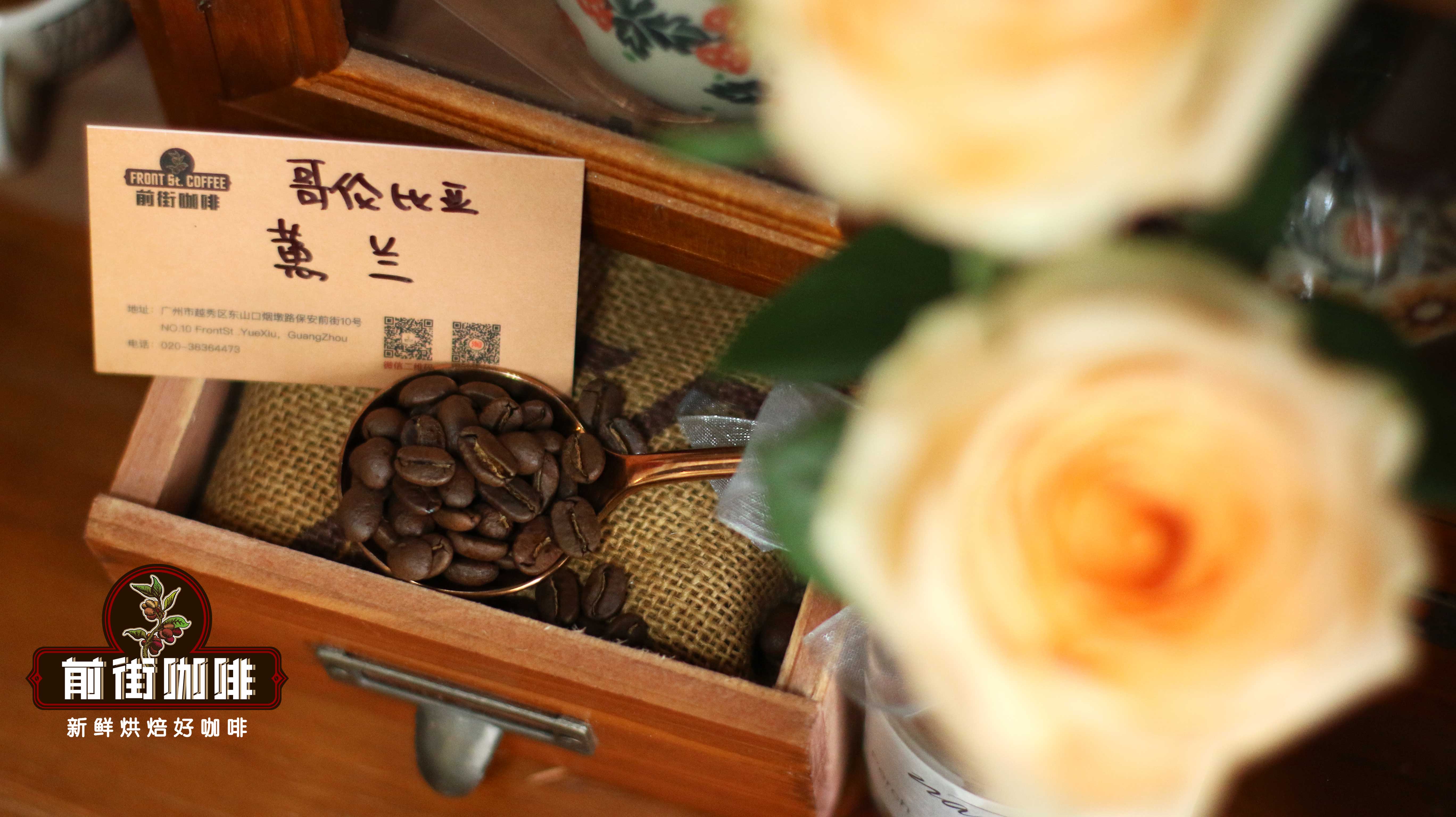 How are Colombian coffee beans graded? Understanding quality and export standards through bean size