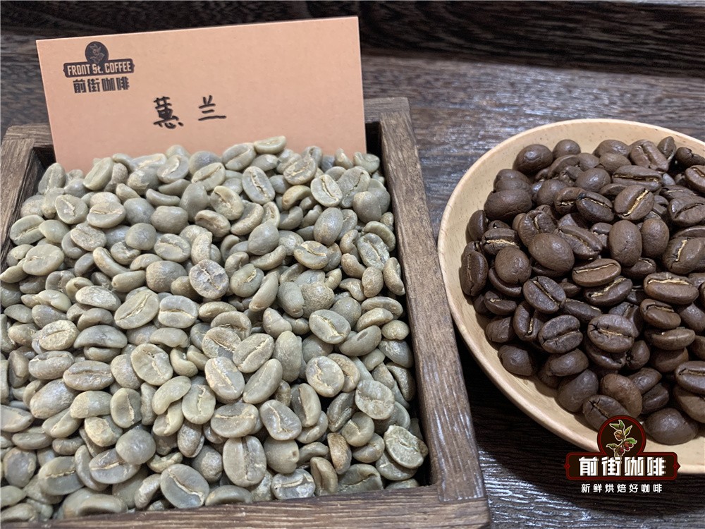 How are Colombian coffee beans graded? Understanding quality and export standards through bean size