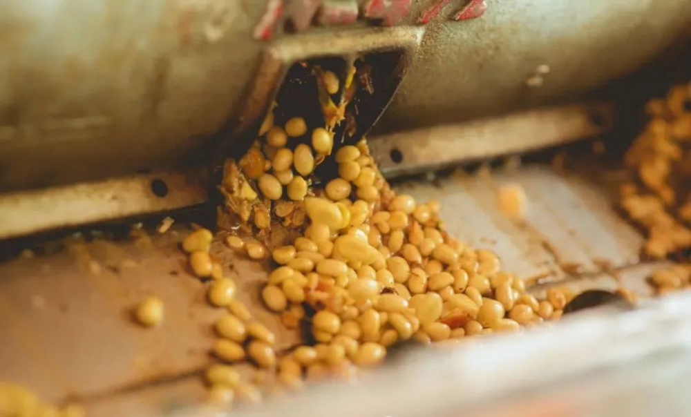 How to Brew Colombian Coffee? A Complete Guide to Regions, Varieties, and Pour Over Parameters