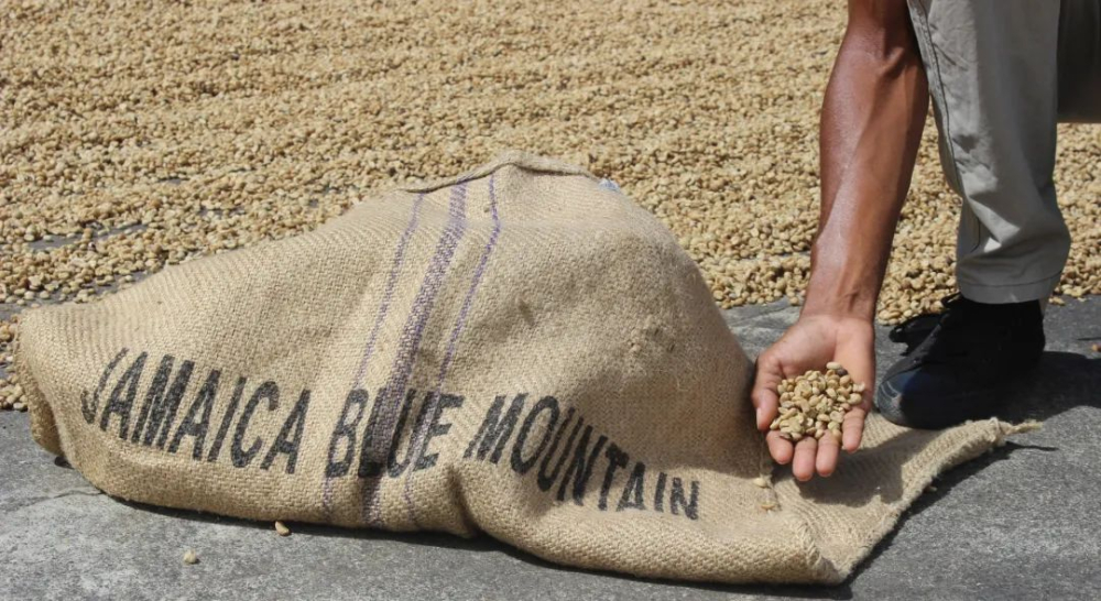 Where does Jamaican Blue Mountain coffee come from? A complete guide to Wallenford Estate and CIB certification