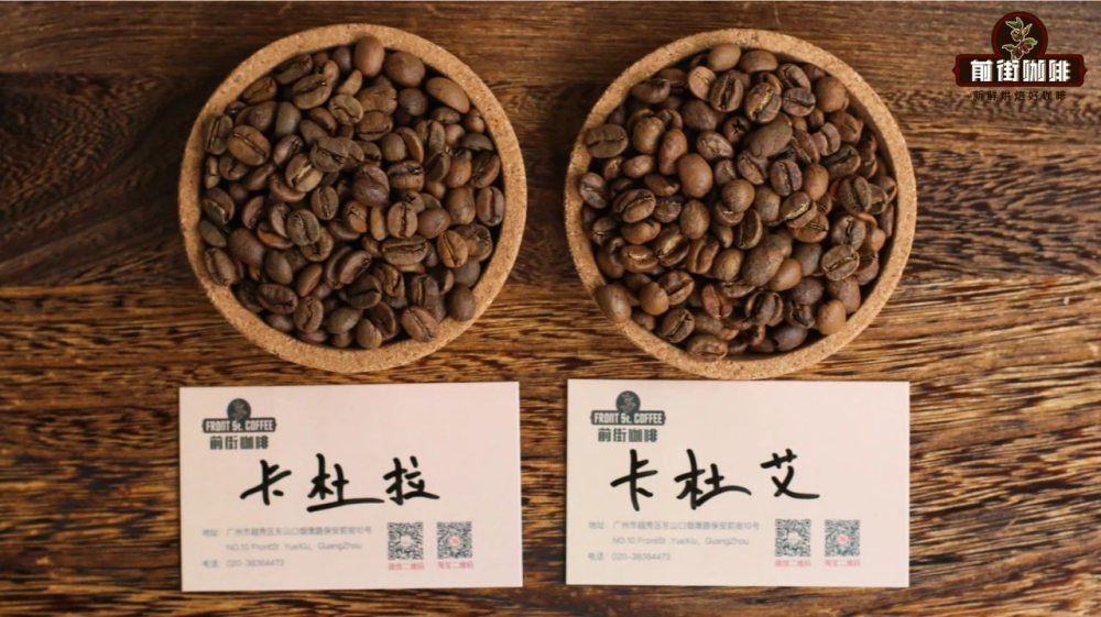 How to choose between Catuai and Caturra coffee beans? A comprehensive guide to flavor, growing characteristics, and beginner-friendly pour over recommendations.