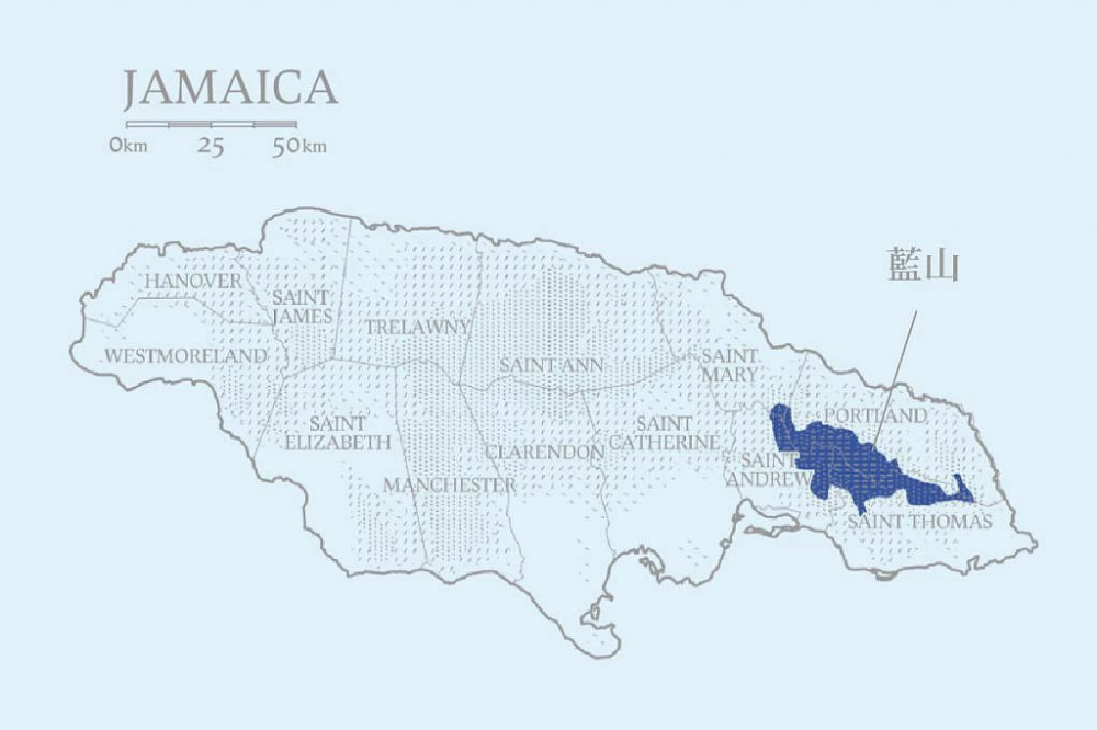 Jamaica Blue Mountain No.1 Pour Over Guide | Extraction Secrets for Balanced Sweet, Acidic & Bitter Flavors with CIB-Certified Beans