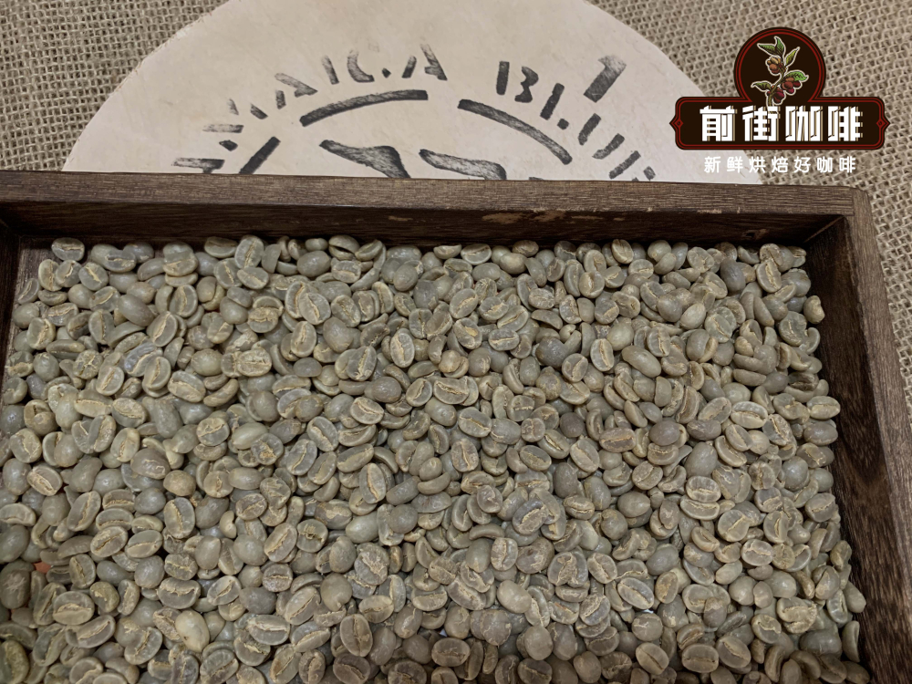 How to Choose Between Blue Mountain and Geisha Coffee Beans? A Look at Grades, Flavors, and Origins
