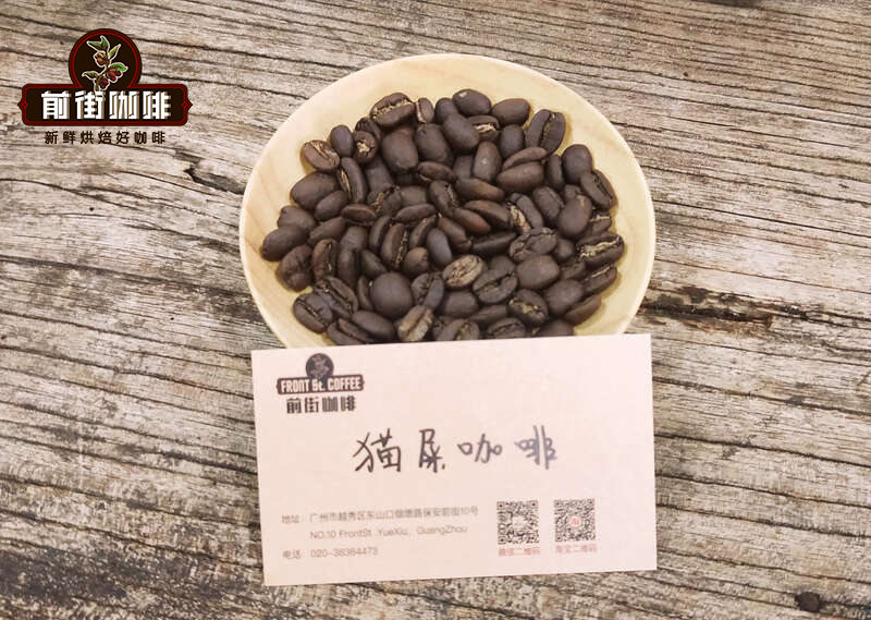 The Flavor Secrets and Origins of Indonesian Kopi Luwak: Processing Methods, Brewing Tips, and High-Value Alternatives