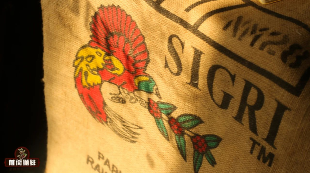 How to Drink Vietnamese Robusta Coffee Beans? A Practical Guide to Flavor, Blends, and Brewing