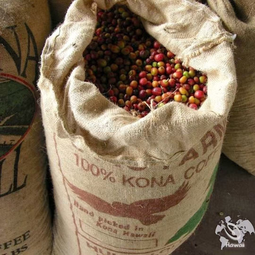 An In-depth Look at Hawaiian Kona Coffee: Region, Grades, Flavor Profile & Queen’s Estate Tasting Guide