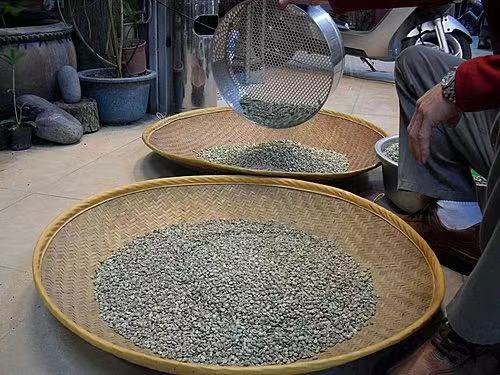 A Comprehensive Guide to Asian Specialty Coffee Regions: Flavor Profiles and Processing Methods in Yunnan, Indonesia’s Mandheling, and Papua New Guinea