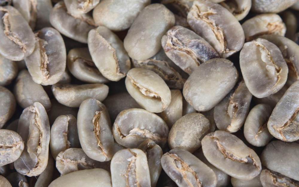 A Complete Guide to Kenyan Coffee Bean Grades: How to Distinguish AA TOP from AA? Pour Over Parameters and Flavor Profile
