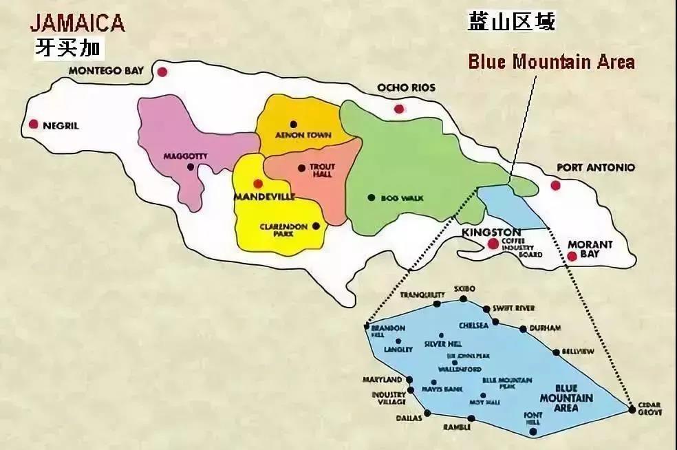 Complete Guide to Jamaican Blue Mountain Coffee: Origin, Grades, Roasting, and Pour Over Parameters