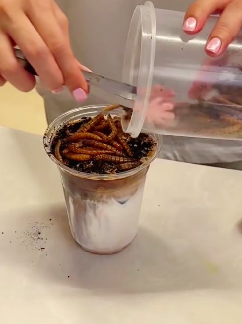 Unveiling the Insect-Themed Specialty Coffee at Beijing Museum: Roach and Mealworm Infused Drinks, 45 Yuan to Challenge Your Palate and Prejudices