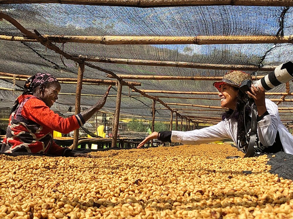 A Complete Guide to Ethiopia's Gesha Village: From Heirloom Varieties to Gold Label Flavors and Pour Over Parameters