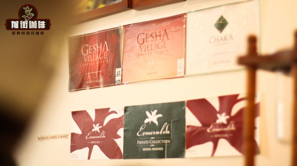 Introduction to Panama’s Five Premier Coffee Regions and Notable Estates: From Boquete to Wine Processing Methods