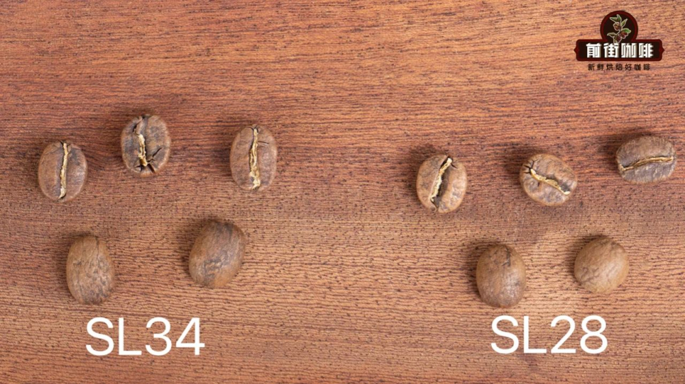 Top 6 Global Coffee Origins Recommended | A Pour Over Beginner's Guide from Yirgacheffe to Yunnan Typica