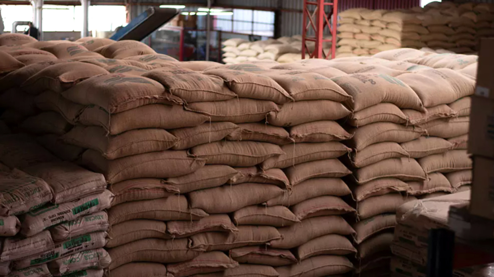 A Complete Guide to Brazilian Coffee Beans: Regional Characteristics, Processing Methods, and Pour Over Blending Applications