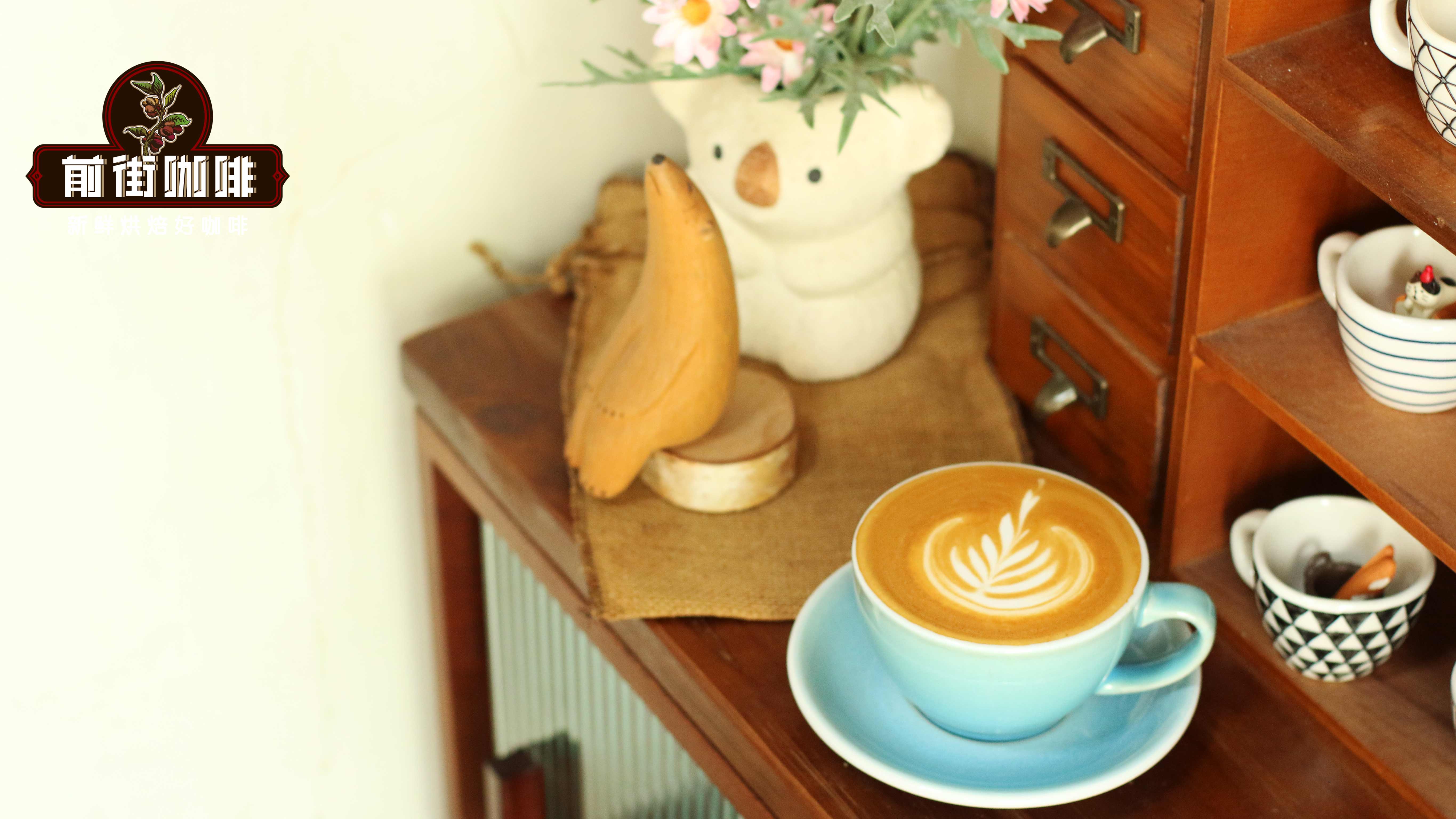 How to Make Salted Cheese Latte at Home? Specialty Recipe & Coffee Bean Buying Guide