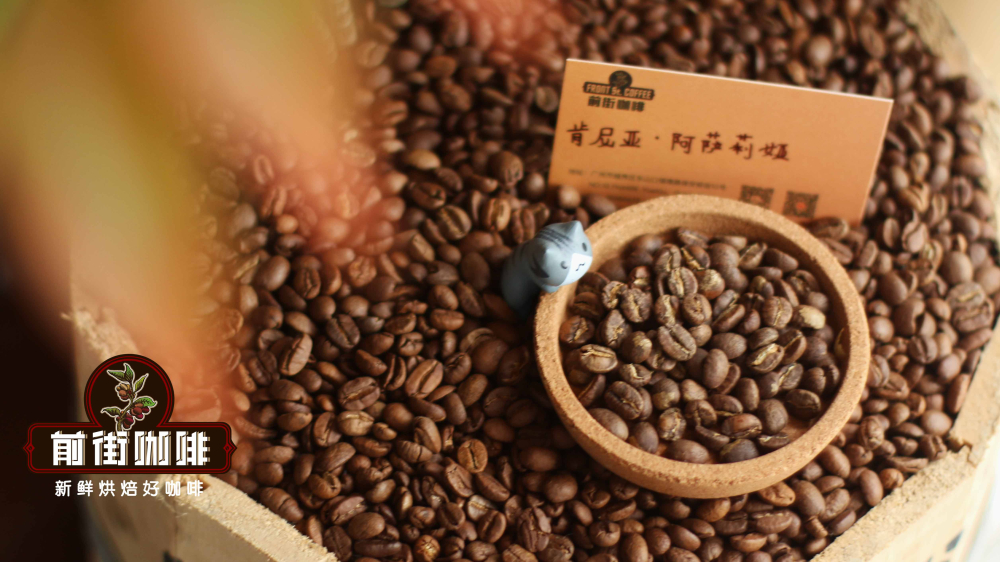 A Beginner's Guide to Buying Arabica Coffee Beans | Understand Flavor Profiles by Region, Roast Levels, and Freshness All at Once