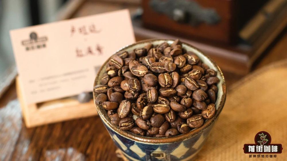 Pour Over Coffee Bean Buying Guide: Global Single-Origin Flavor Recommendations by Roast Level