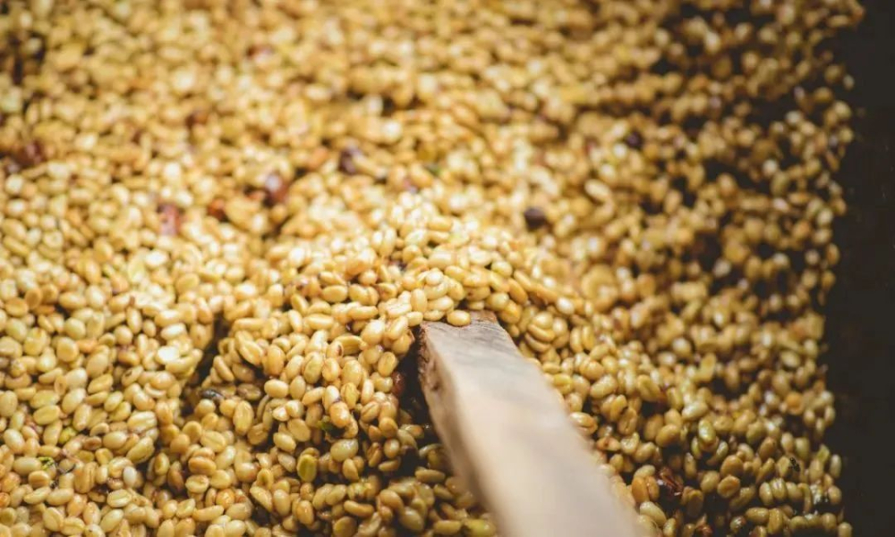 A Comprehensive Guide to the World’s Top 10 Specialty Coffee Origins: Flavor Profiles and Processing Methods Revealed
