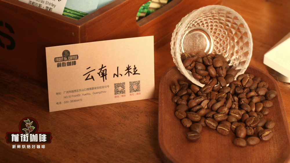 Analysis of Yunnan Small-Bean Coffee Varieties and Practical Guide to Pour Over & Cold Brew