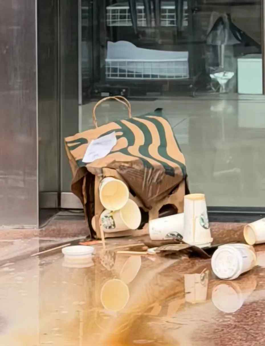 Analysis and Improvement Measures for Starbucks' Rainy Day Delivery Packaging