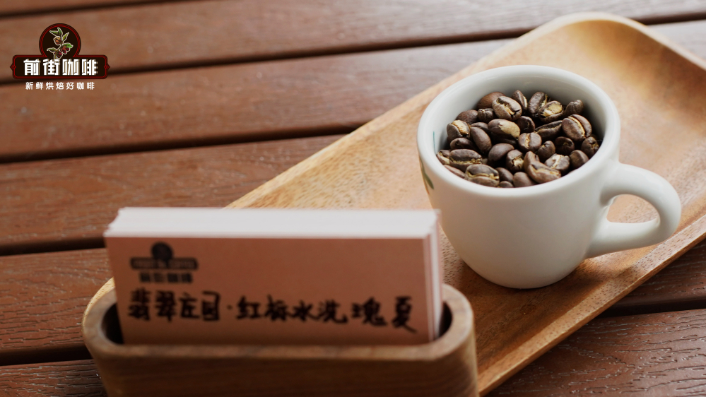 A Complete Guide to Panamanian Geisha Coffee Beans | Regional Characteristics and Drip Bag Selection