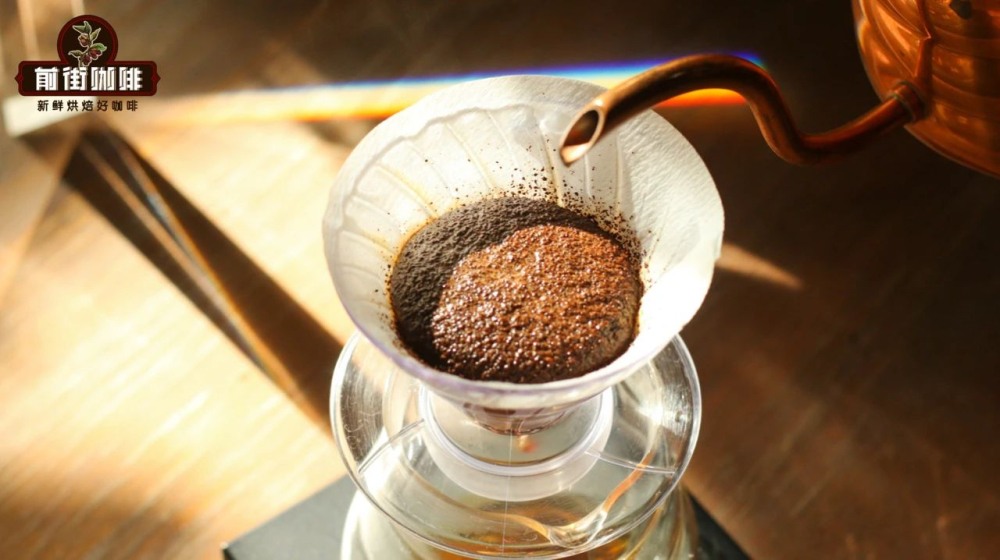 Beginner’s Guide to Specialty Coffee Beans | Flavor Profiles & Selection Tips for 10 Major Origins