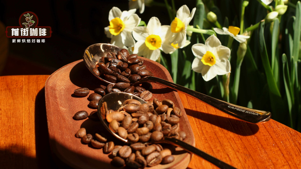 How to choose medium-light roast coffee beans? Analysis of 5 floral & fruity single-origin beans and their acidity profiles