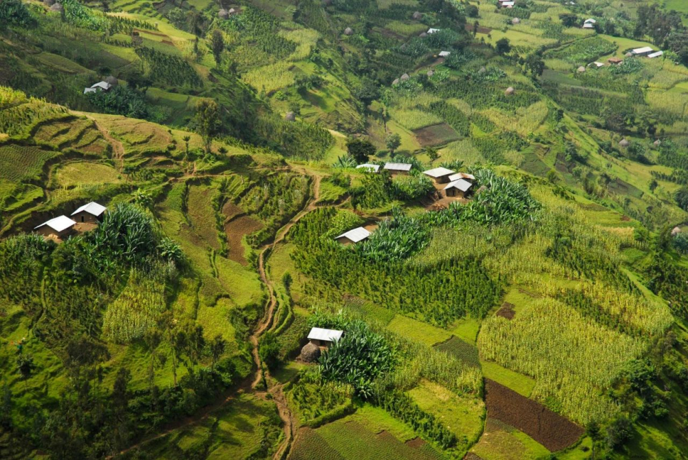 How to Brew Ethiopian Yirgacheffe Washed Beans Without Bitterness? Complete Guide to Flavor Profile & Pour Over Parameters