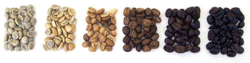 First Choice for Coffee Beginners: 4 Key Factors and Tips for Choosing Coffee Beans