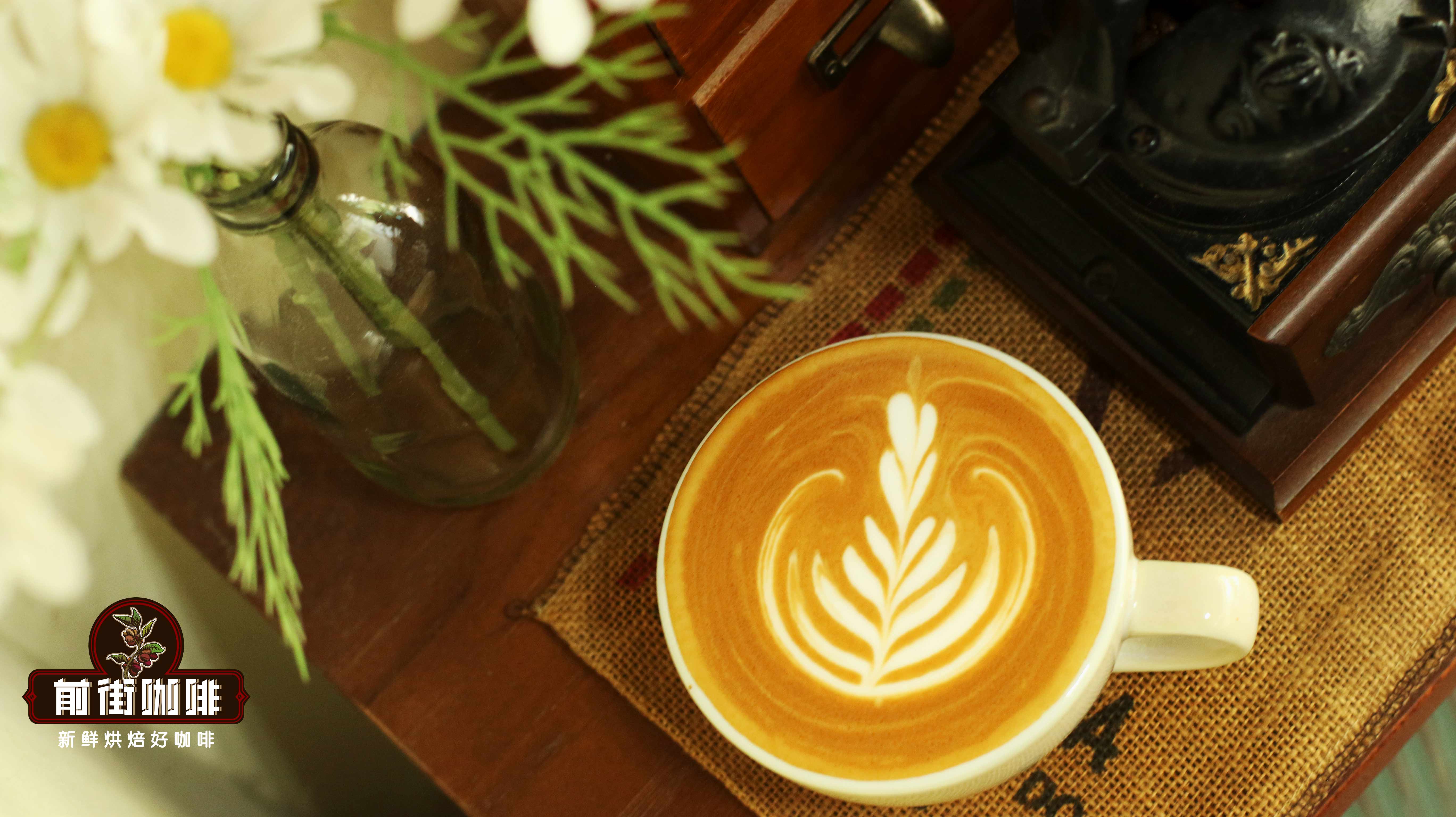 Latte Milk Coffee Flavor Analysis: A Guide to Milk and Blend Selection and Brewing Essentials