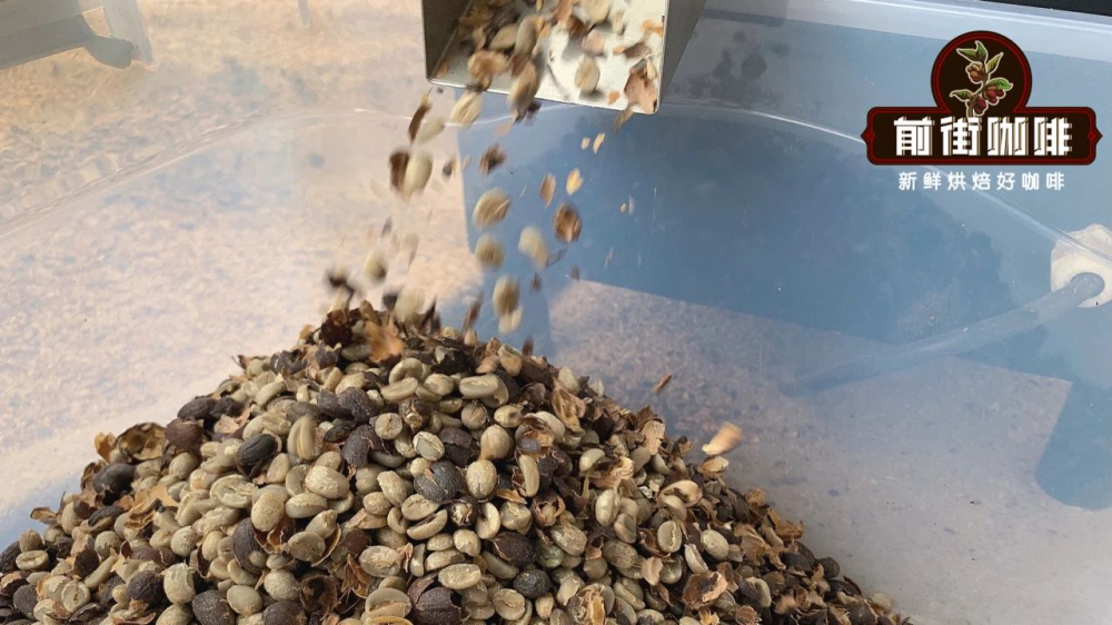 Analysis of the Four Major Green Coffee Processing Methods: Natural, Washed, Honey, and Their Flavor Profiles Guide