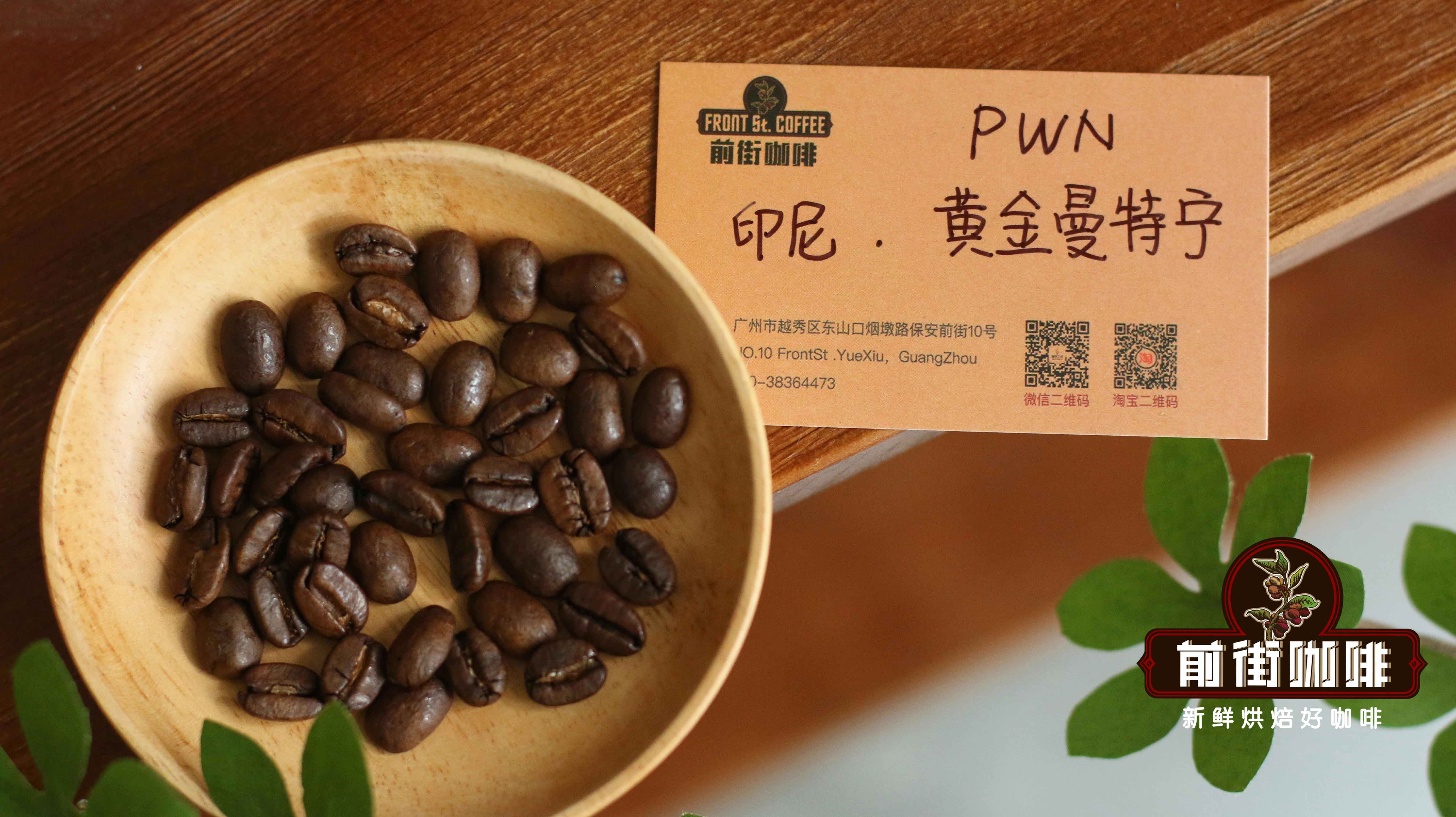 A Complete Beginner’s Guide to Pour Over Coffee: A Practical Buying Guide from Bean Selection to Equipment