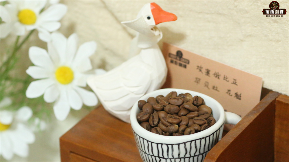 Guide to Making Iced Hanging Filter Coffee: Bean Selection Tips and Pour Over Parameters