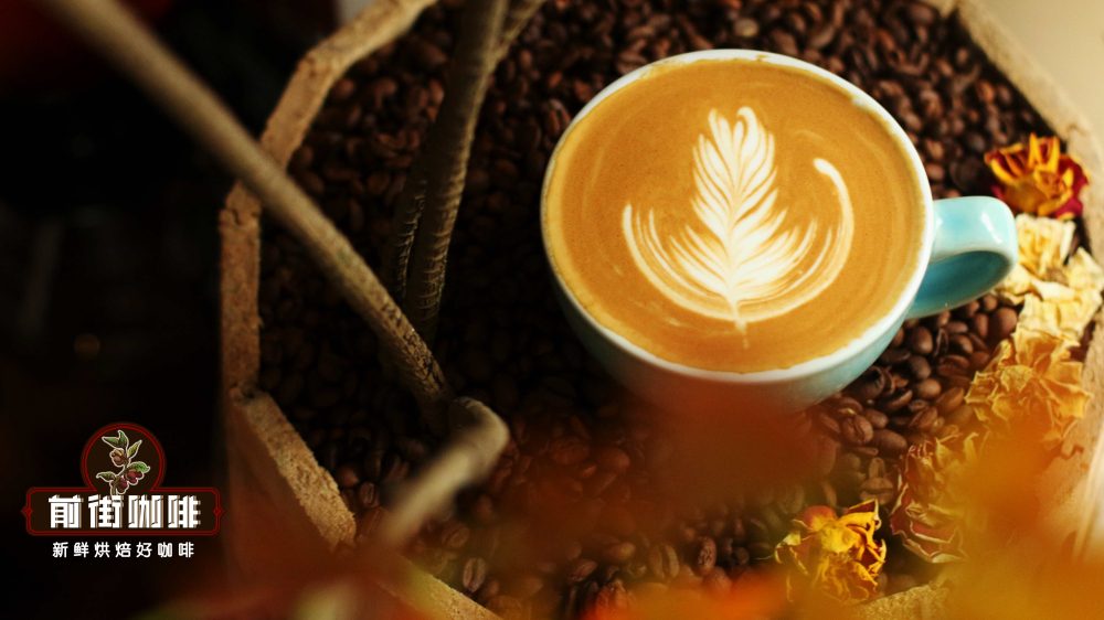 Moka Pot Espresso Upgrade: Parameter Adjustments and Guide to Pairing with Floral & Fruity Coffee Beans