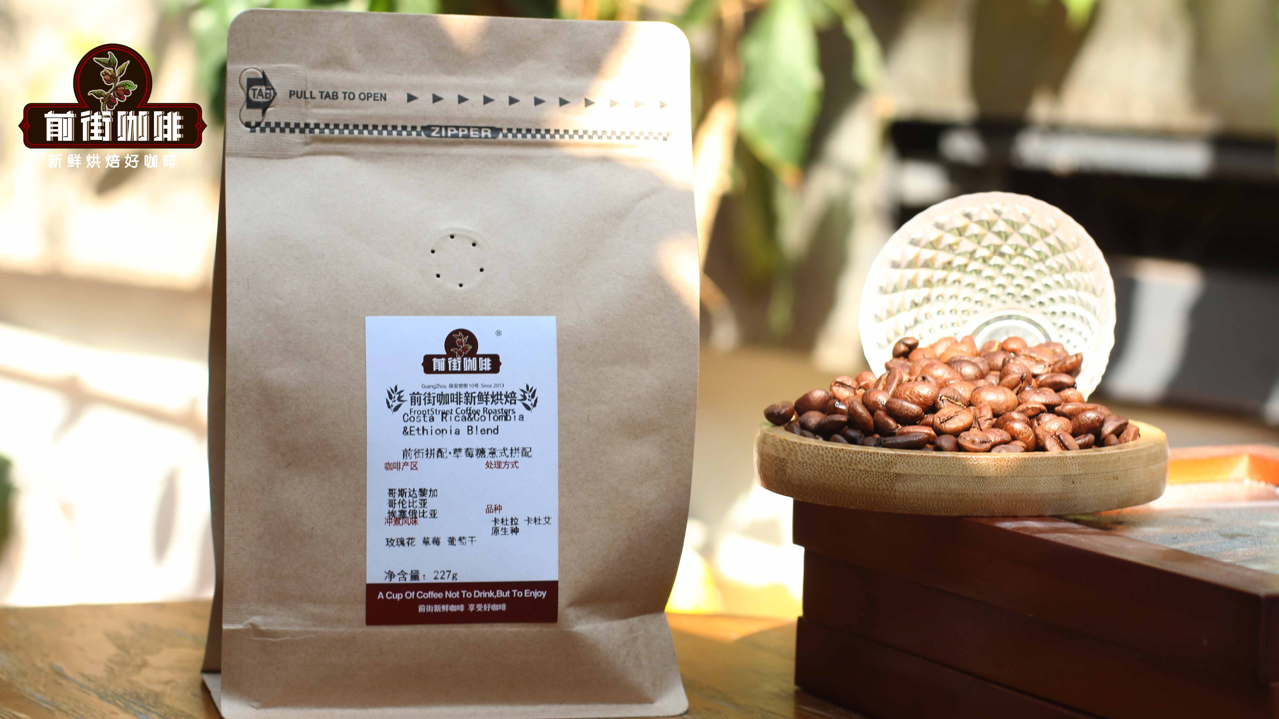Complete Guide to Making Iced Americano: Differences Between Blends and Single-Origin Beans, Extraction Parameters, and DIY Tips