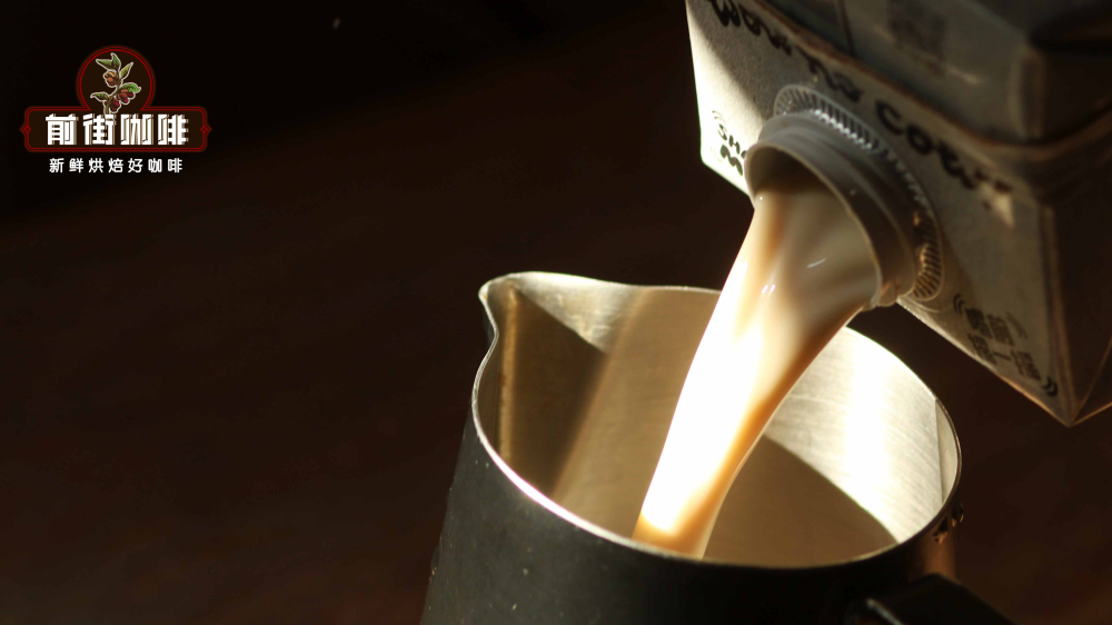 Oat Milk Latte Flavor Profile | A Beginner's Guide to Pairing Plant-Based Milk with Coffee