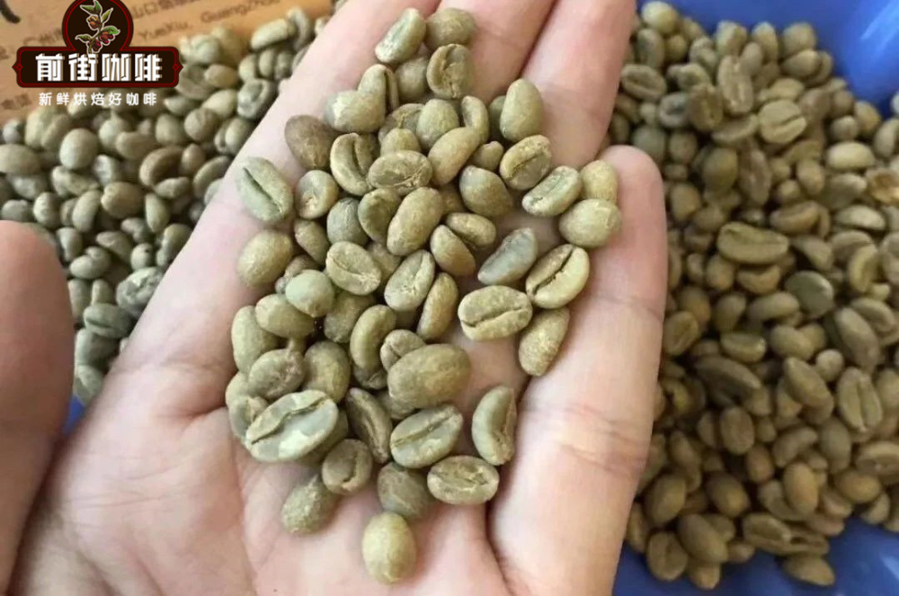 Flavor Analysis of Coffee Beans from Three Continents: Unique Characteristics of Africa, the Americas, and Asia, and Pour Over Parameter Suggestions