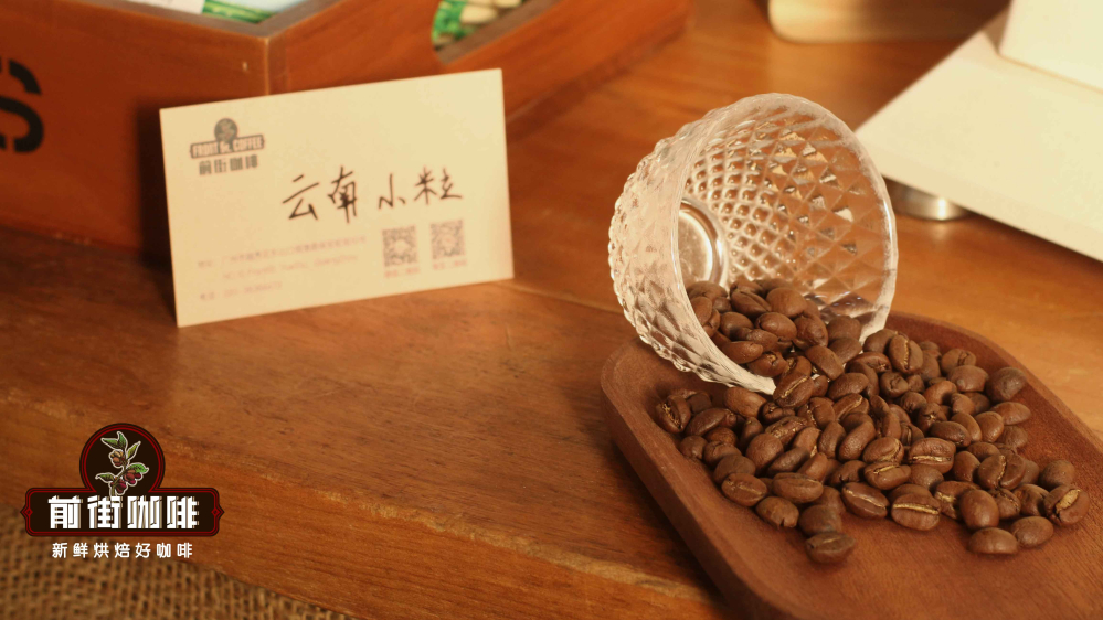 How to Choose Yunnan Coffee Beans? A Complete Guide from Regional Flavors to Grinding and Brewing