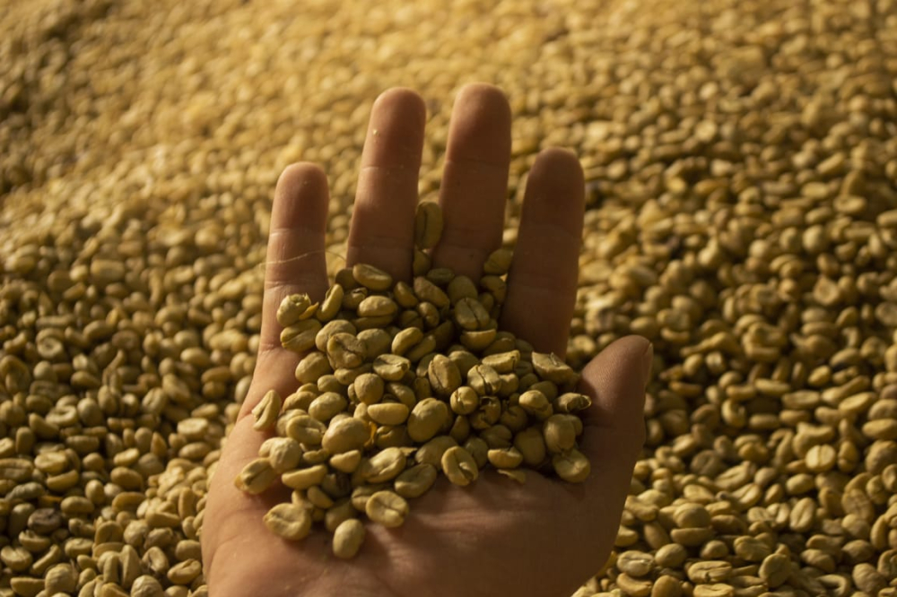 A Complete Guide to Colombian Coffee Regions: How to Choose Between Varieties Like Caturra and Huila? A Look at Flavor Profiles and Pour Over Recommendations