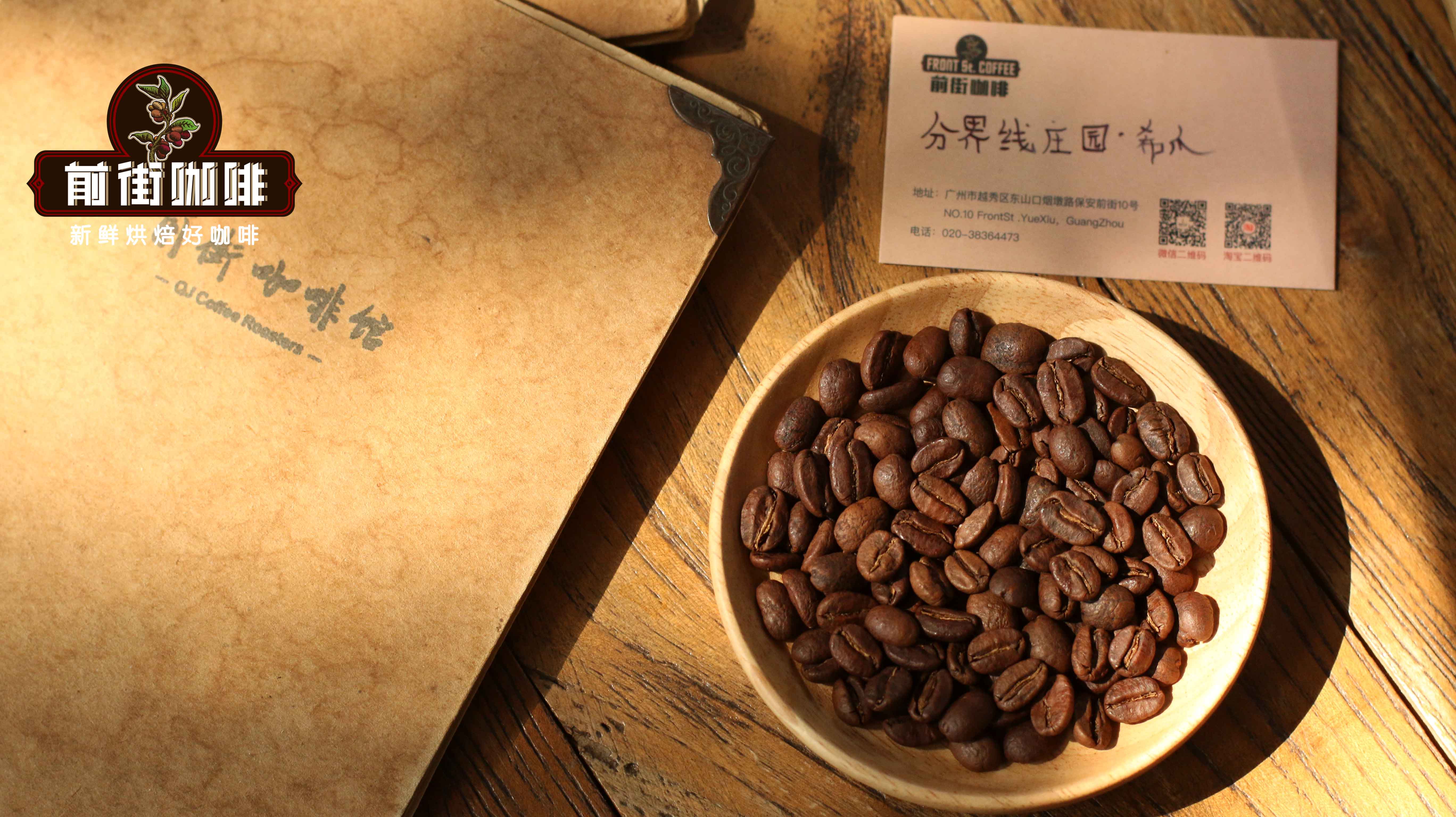 A Complete Flavor Guide to Premium Latin American Coffee Beans: Beginner-Friendly Pour Over Recommendations from Brazil to Blue Mountain