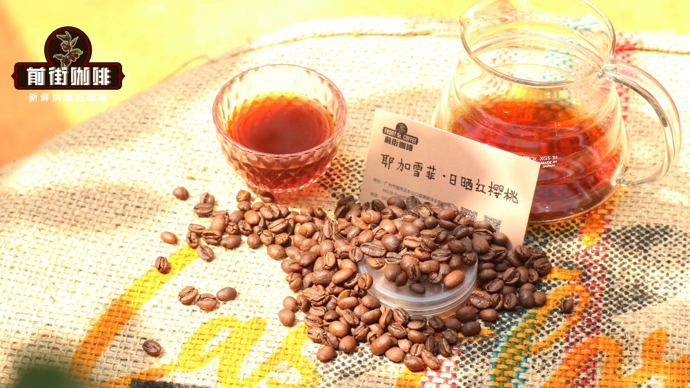 A Complete Guide to the Flavor Profiles and Processing Methods of the Six Major Coffee Regions in Latin America
