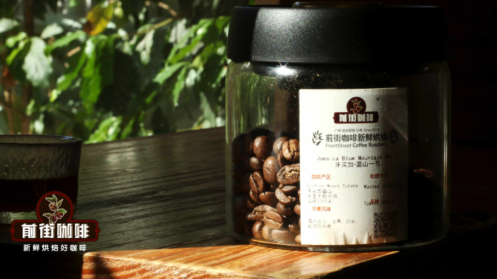 A Complete Guide to Jamaica Blue Mountain Coffee Grading: A Buying and Brewing Guide from Grade 1 to Peaberry