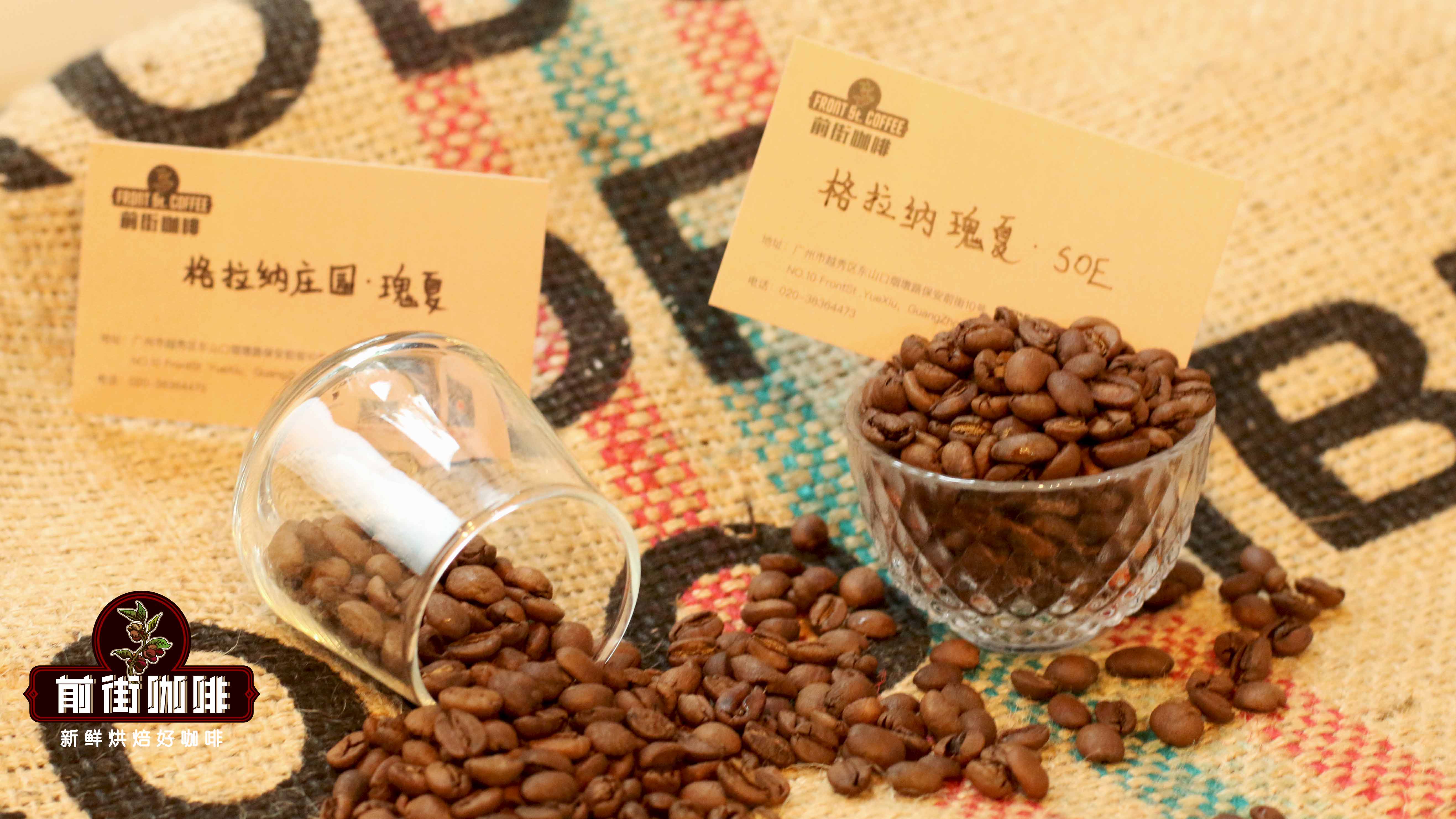 Geisha Coffee Pour Over Guide: Grind-to-Water Ratio & Water Temperature Parameters, Regional Flavor Analysis & Brewing Techniques